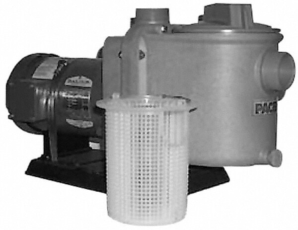 115/230 Volt, 1 Phase, 2 HP, Self Priming Pump